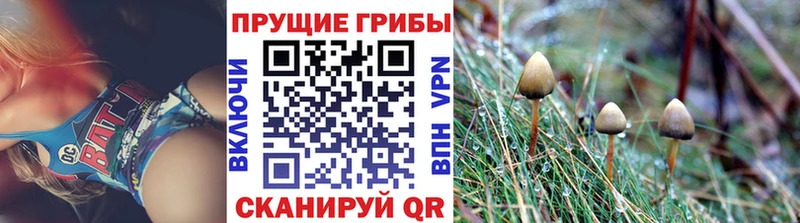 ссылка на мегу ссылки  Череповец  Галлюциногенные грибы GOLDEN TEACHER 