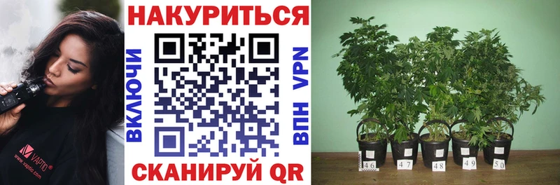 МАРИХУАНА Bruce Banner  Череповец 